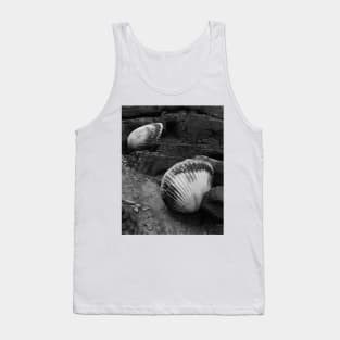 Shells Sculpture. Vladivostok Oceanarium Tank Top